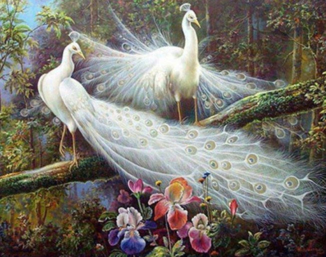 Pair of White Peacocks – All Diamond Painting
